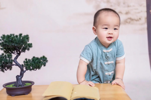 吉安可爱的企鹅宝宝